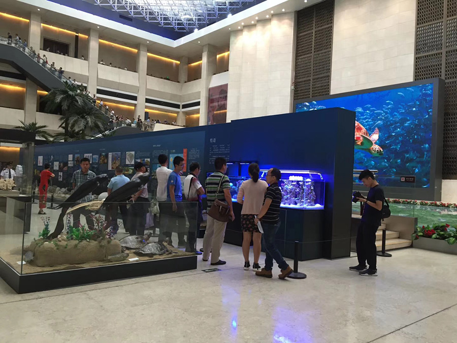國家一級(jí)博物館指定龍威定制展示魚缸