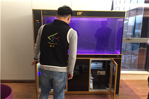 私人訂制 上門安裝 服務