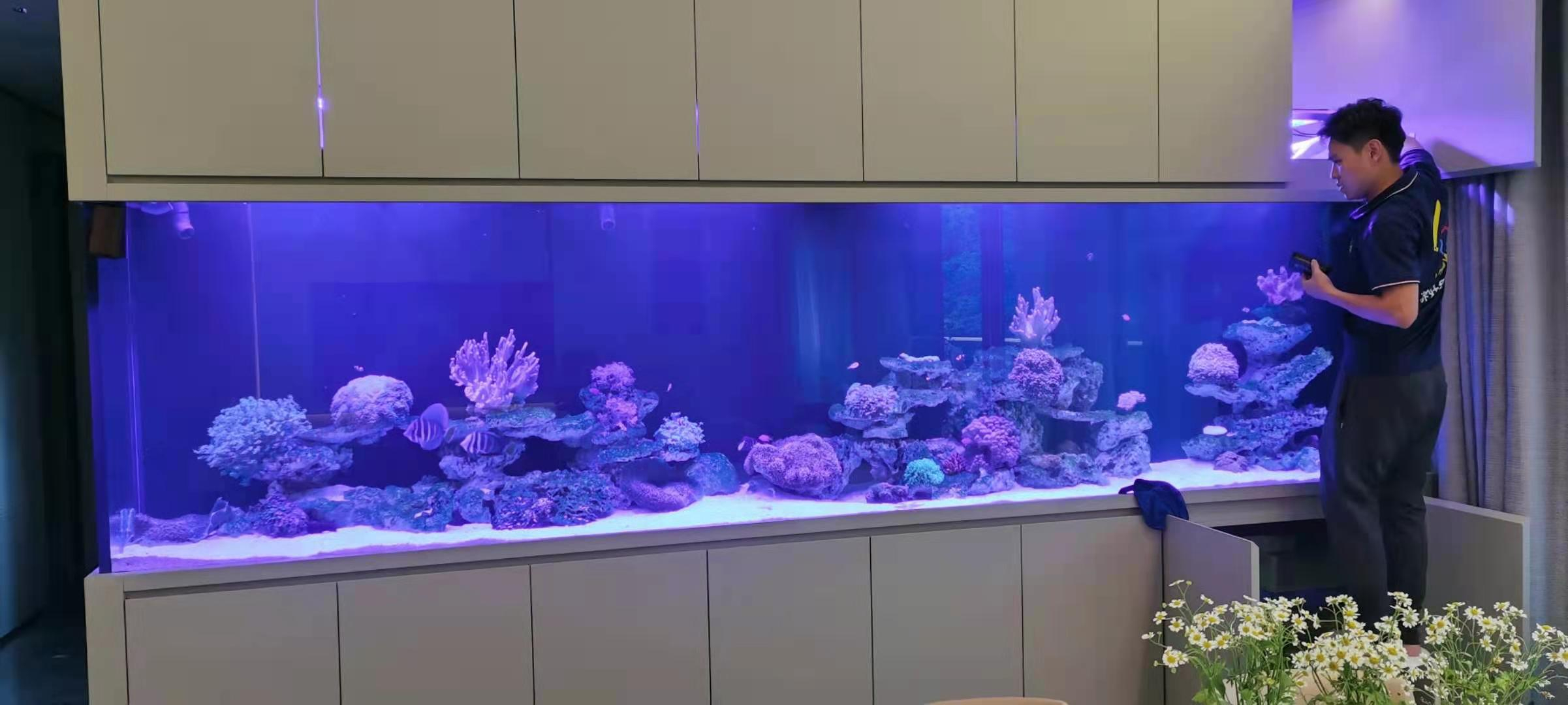 定制海水魚缸上門清洗服務(wù)