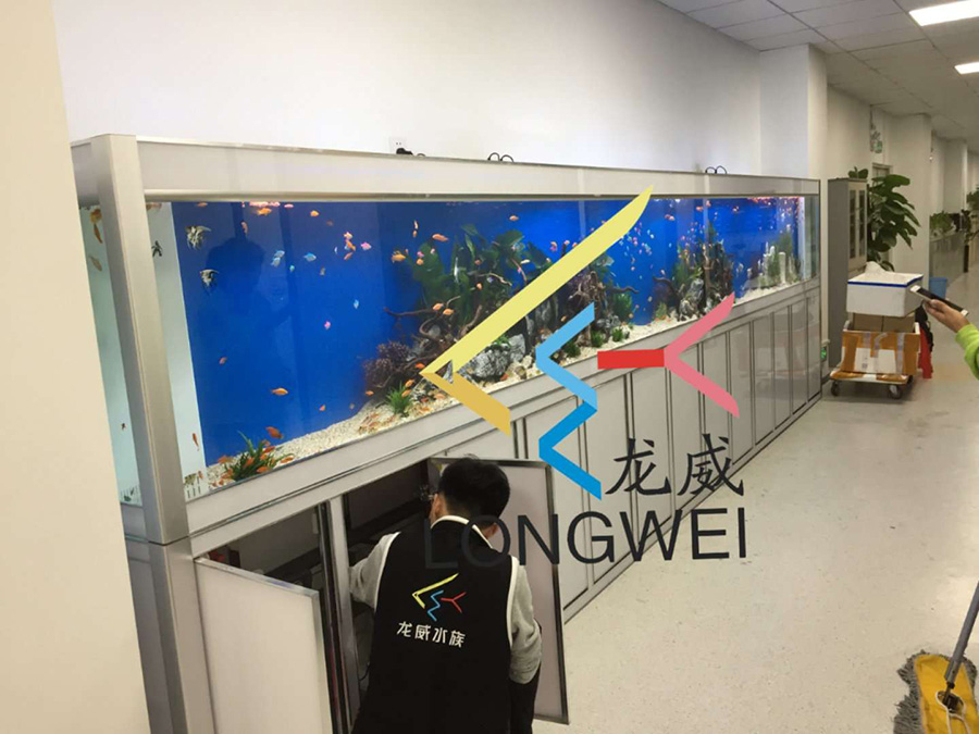 公司大型魚(yú)缸定制項(xiàng)目