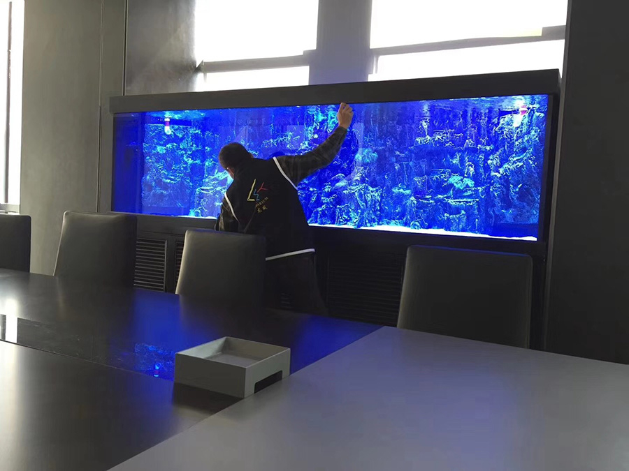 會(huì)議室海水缸定制清洗