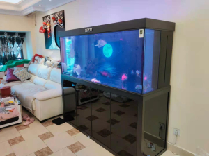 公司定制魚(yú)缸送缸上門(mén)