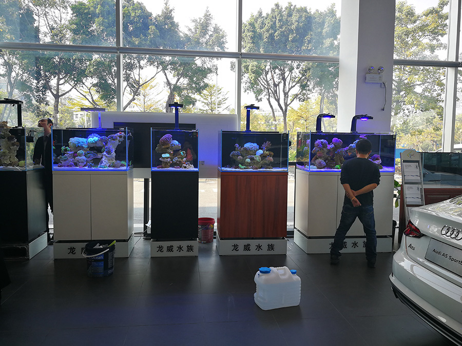奧迪展廳龍威魚缸展覽