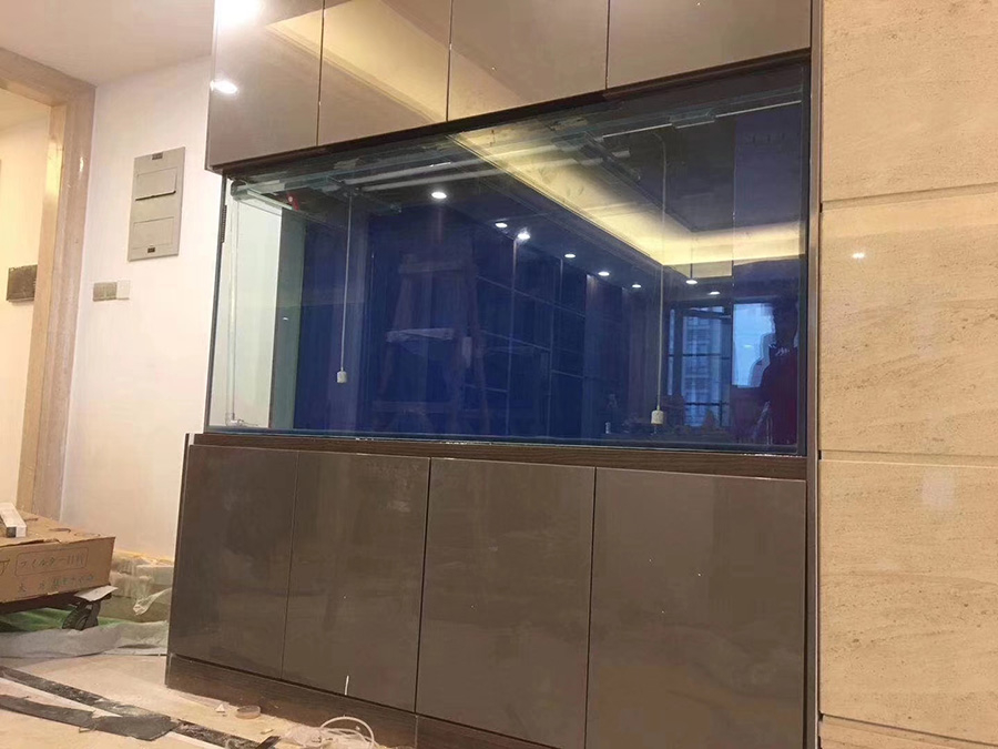 嵌入式定制魚(yú)缸案例