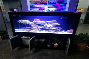 道爾頓公學(xué) 海洋科普 走進(jìn)學(xué)校