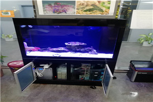 道爾頓公學(xué) 海洋科普 走進(jìn)學(xué)校