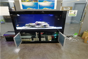 道爾頓公學(xué) 海洋科普 走進(jìn)學(xué)校