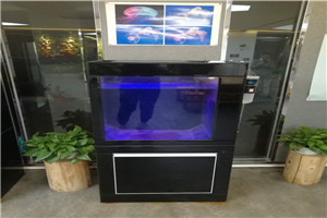 道爾頓公學(xué) 海洋科普 走進(jìn)學(xué)校