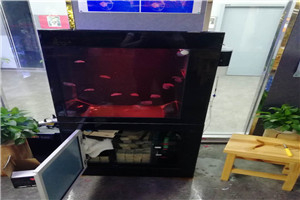 道爾頓公學(xué) 海洋科普 走進(jìn)學(xué)校