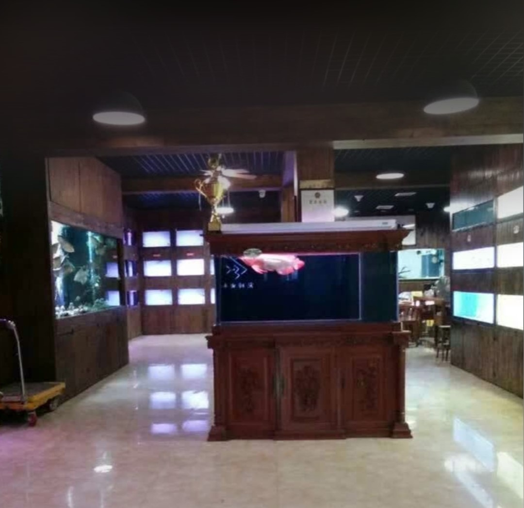 家里客廳魚缸定制案例——龍威水族