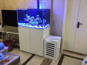 家庭魚(yú)缸定做案例——龍威水族