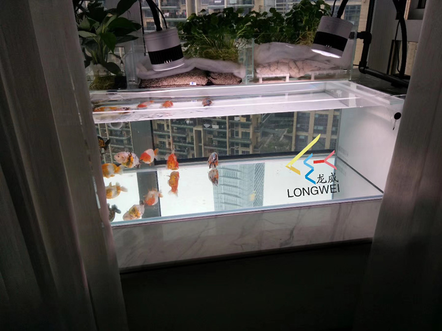 陽臺定制小型金魚缸——龍威水族