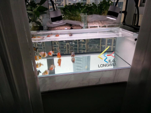 陽(yáng)臺(tái)定制小型金魚(yú)缸——龍威水族