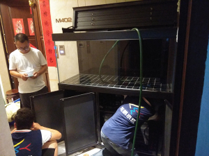 家庭定制魚(yú)缸送貨上門(mén)安裝——龍威水族