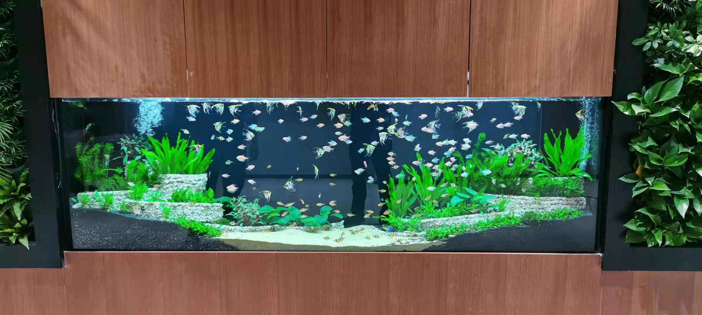 店鋪定制風(fēng)水魚缸案例——龍威水族