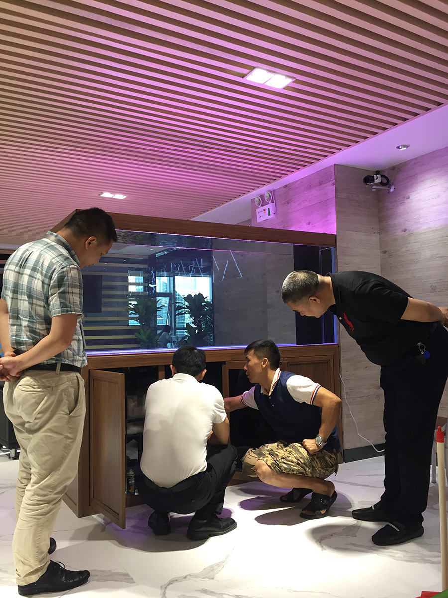 辦公室定制玻璃鋼項(xiàng)目