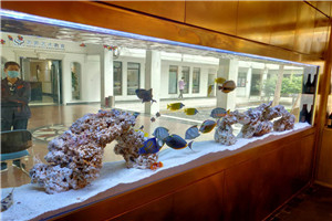 大型海洋魚缸 觀賞魚缸 海洋景觀