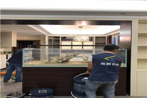 大型海洋魚缸 觀賞魚缸 海洋景觀