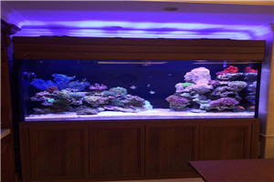 大型海洋魚(yú)缸 觀(guān)賞魚(yú)缸 海洋景觀(guān)