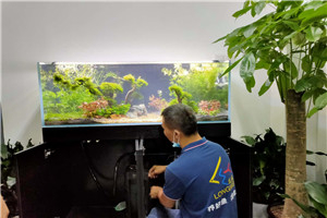 自然景觀 回歸自然 水生植物景觀 水草景觀