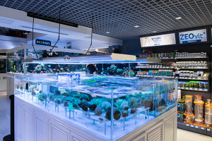 大型魚(yú)缸定制案例