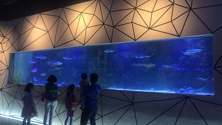 海洋館建設(shè) 竣工 營業(yè) 廣東汕頭蓮花峰海洋文化館