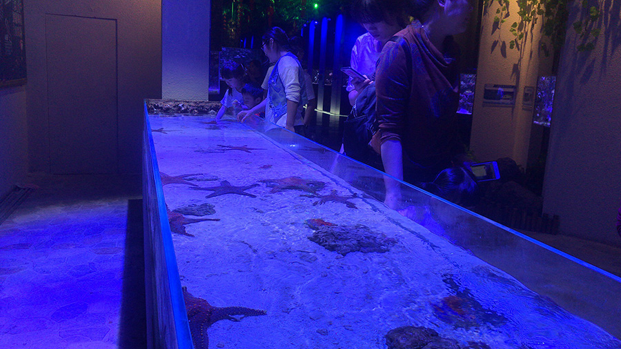 海洋館建設(shè) 竣工 營業(yè) 廣東汕頭蓮花峰海洋文化館