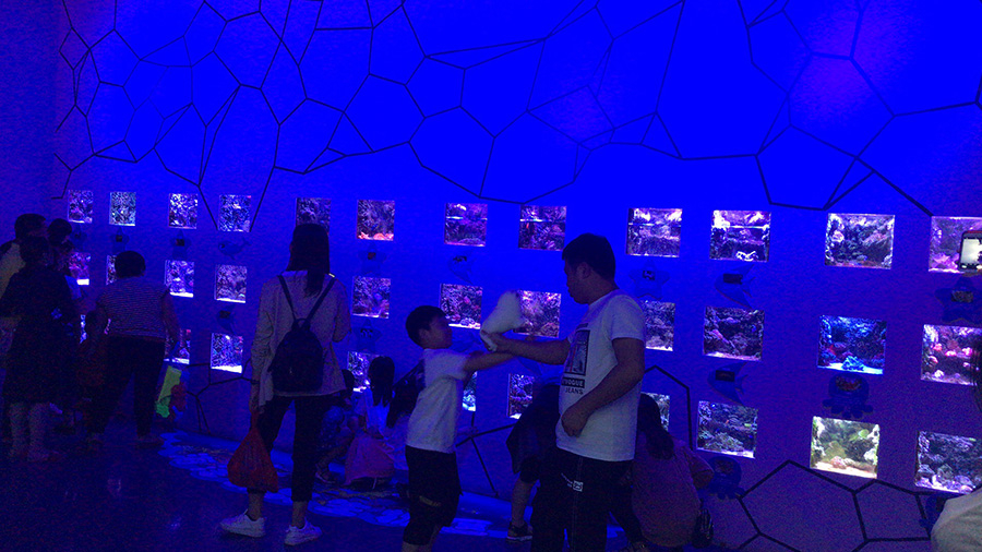 海洋館建設(shè) 竣工 營業(yè) 廣東汕頭蓮花峰海洋文化館