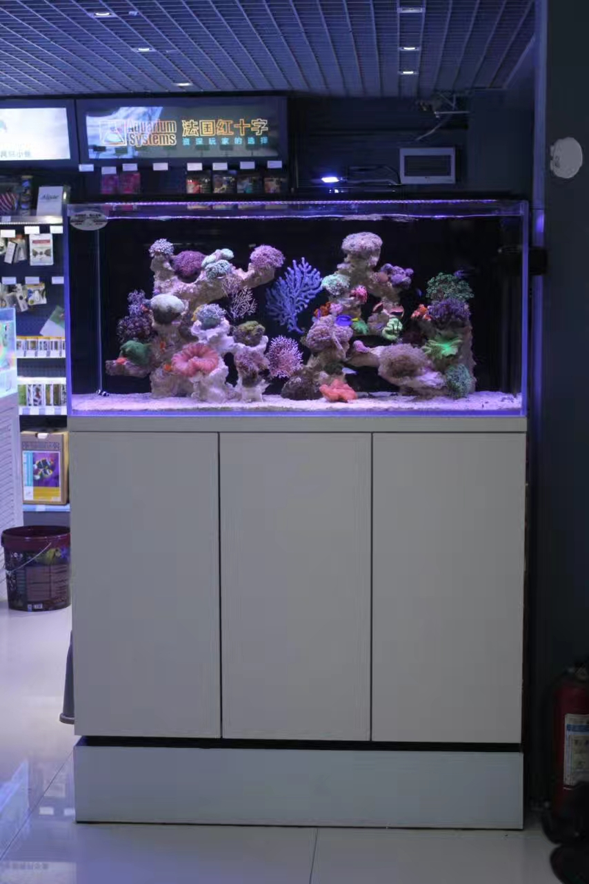 龍威水族_定制超白玻璃魚缸 質(zhì)量保證,定制超白玻璃魚缸|深圳海缸定制|深圳魚缸定做