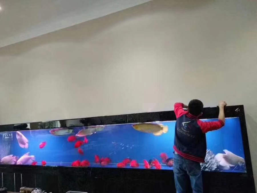 龍威教你如何維護大型魚缸里水