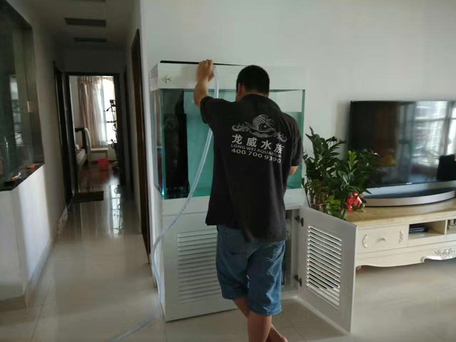 龍威水族教你如何在客廳擺放魚缸