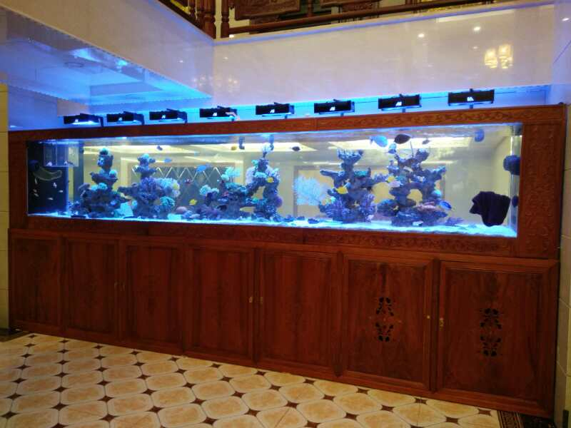 深圳實木魚缸定做生產(chǎn)廠家_龍威水族,實木魚缸定做|深圳魚缸定制