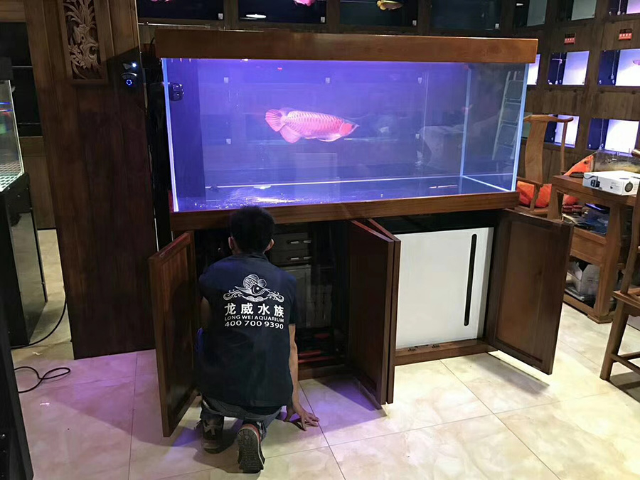 深圳福田區(qū)實木定制魚缸多少錢