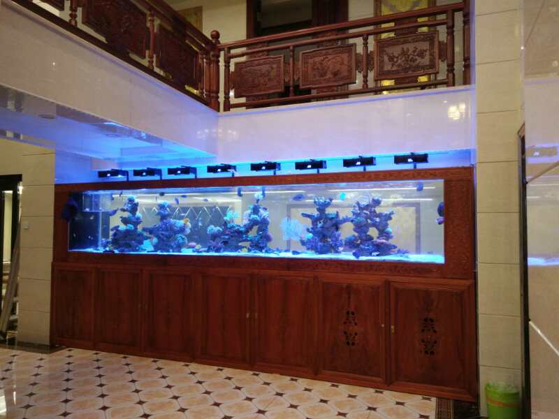 深圳羅湖區(qū)大型魚缸批發(fā)價(jià)格介紹