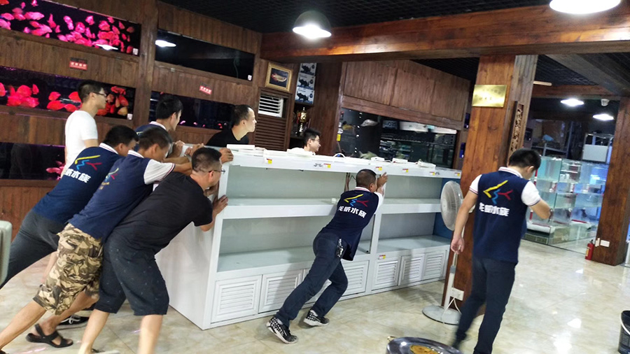 廣東深圳魚(yú)缸定做生產(chǎn)廠家_龍威水族,魚(yú)缸定做|深圳魚(yú)缸定做|定制海水缸